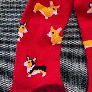 SOCK IT TO ME Corgi knee hi  NWT